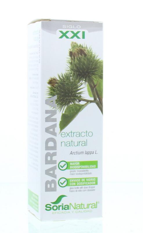 Soria Arctium lappa bardana