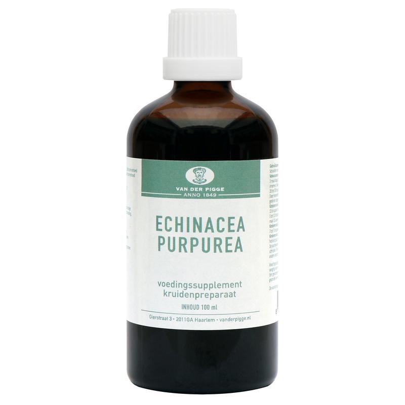 Echinacea