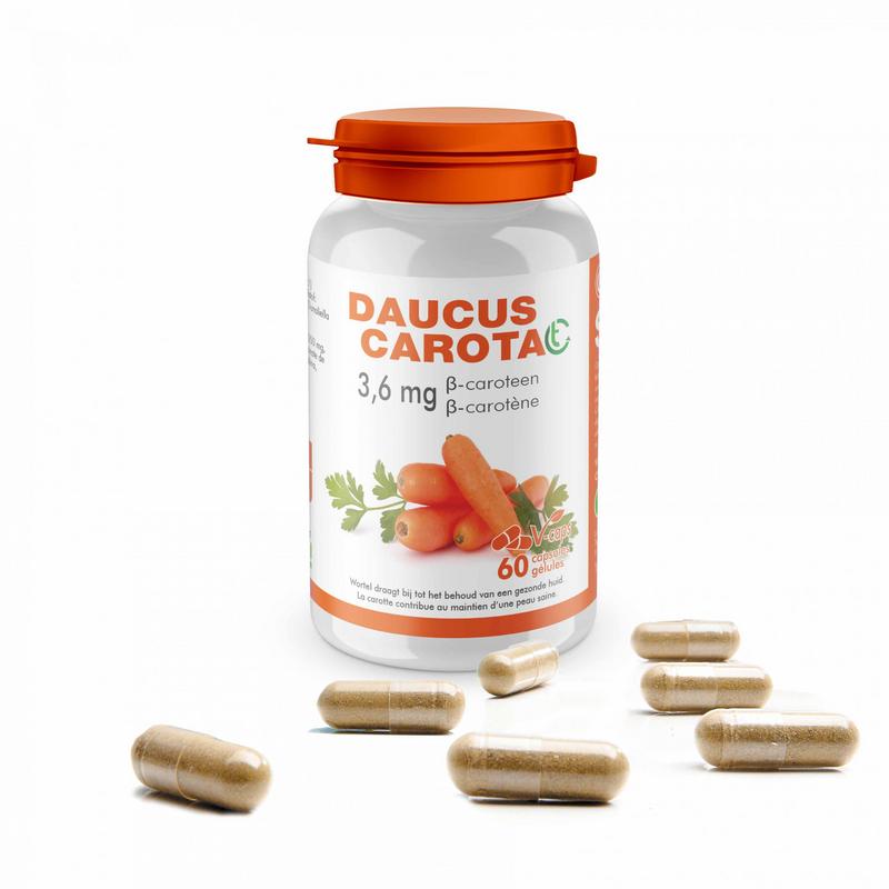 Soria Daucus carota CT