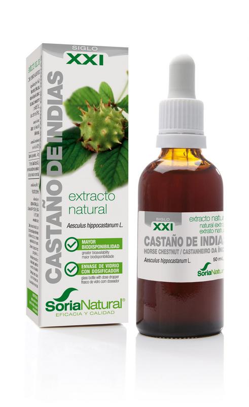 Soria Aesculus hippocast XXI