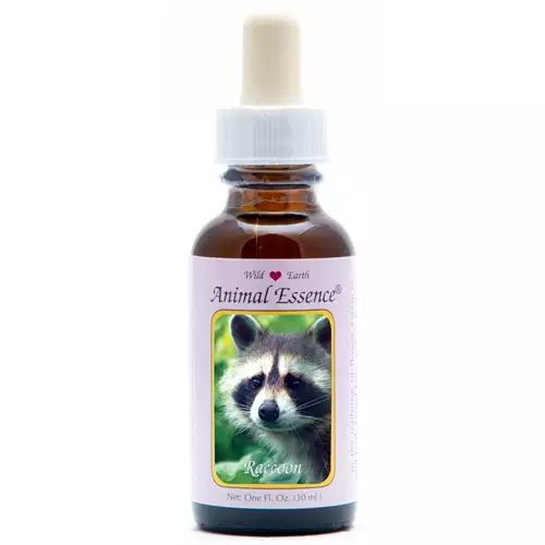 Raccoon (wasbeer)