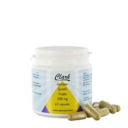 Gember/sunthi 500 mg