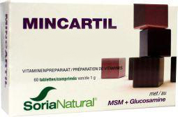 Mincartil