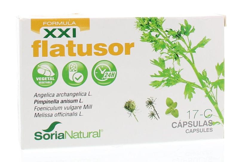 Flatusor XXI 17-C