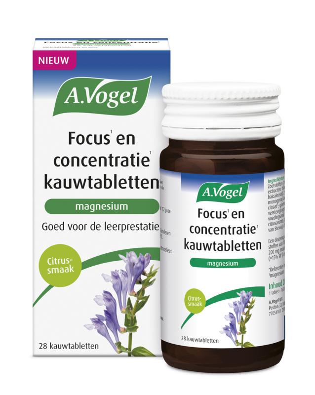  Vogel focus en concentratie kt 28s
