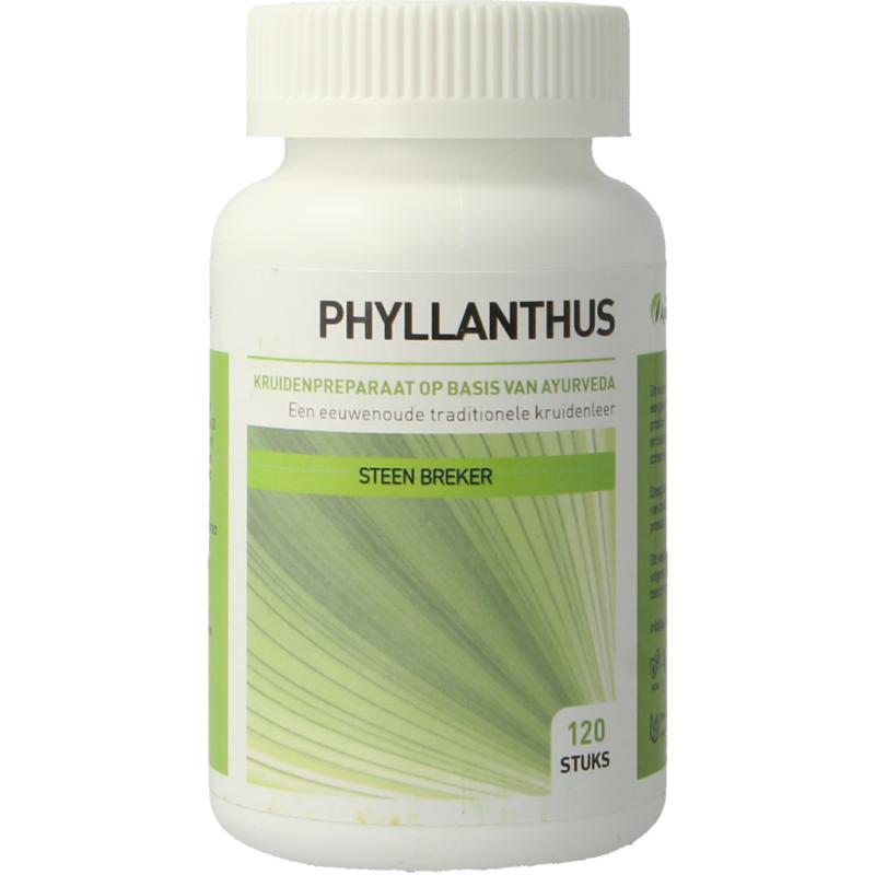 Phyllanthus niruri