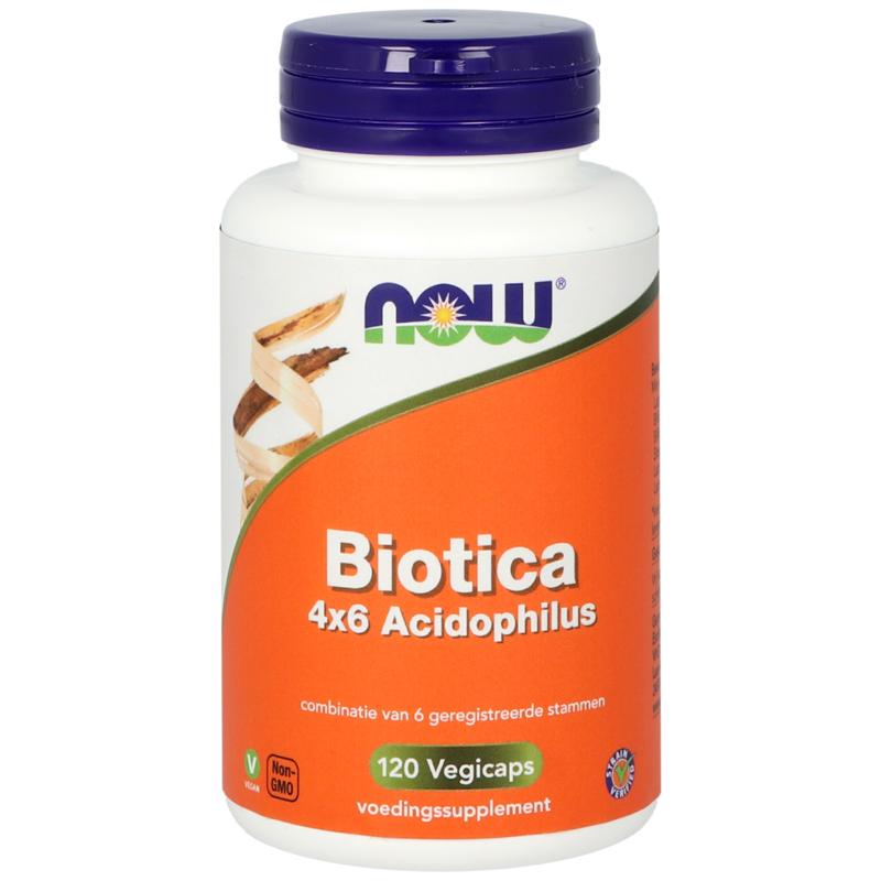 NOW biotica 4x6 acidophilus