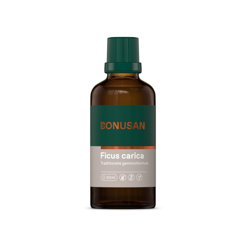  Bonusan ficus carica 50m