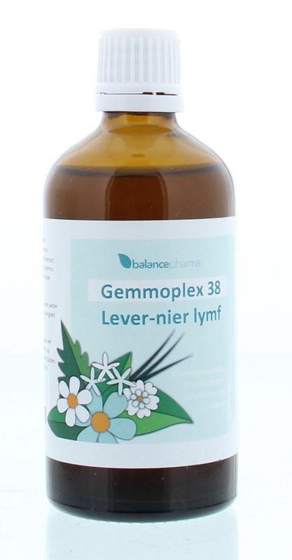 HGP038 Gemmoplex lever-nier lymf