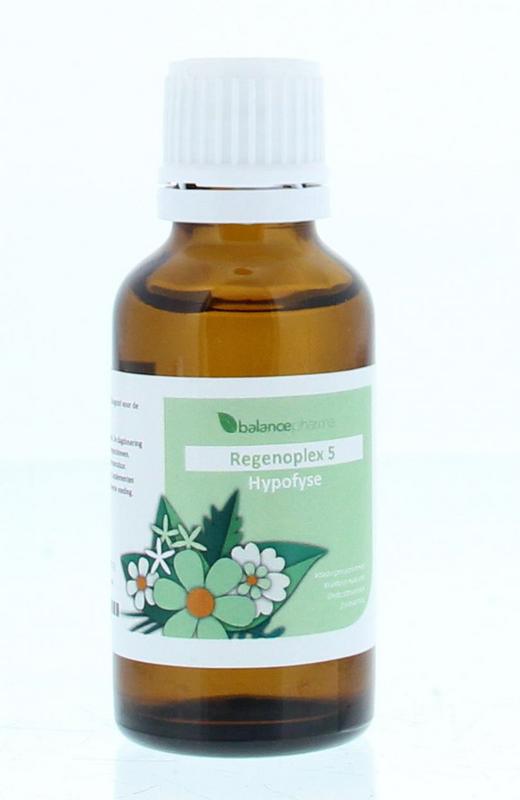 RGP005 Hypofyse Regenoplex