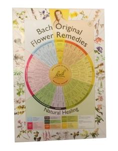 Bach remedies poster A2