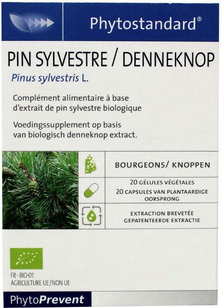 Denneknop