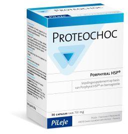 Proteochoc