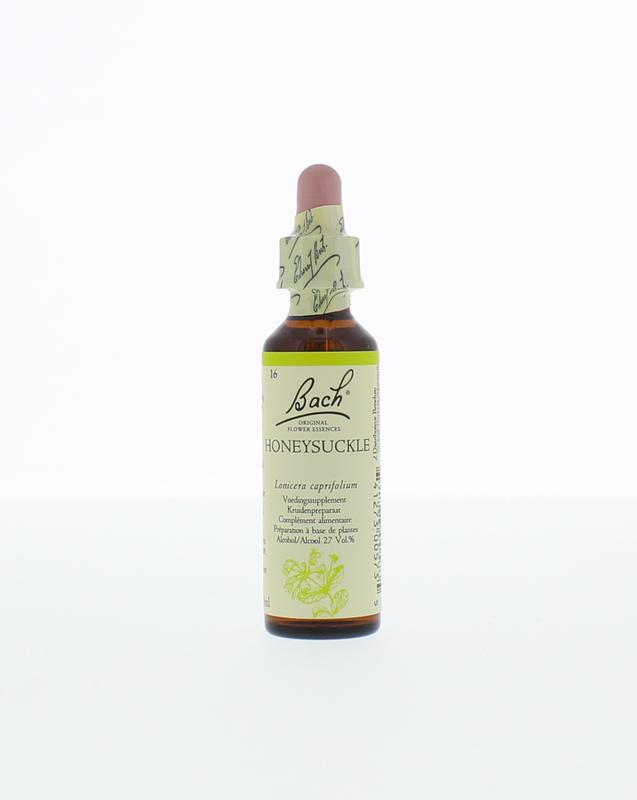 Honeysuckle / kamperfoelie
