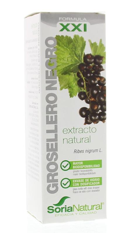 Ribes nigrum extract glycine XX1