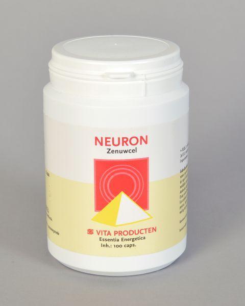 Neuron