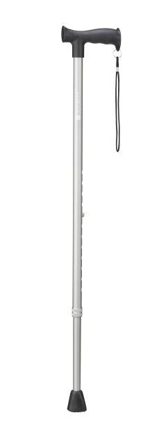 Wandelstok antraciet