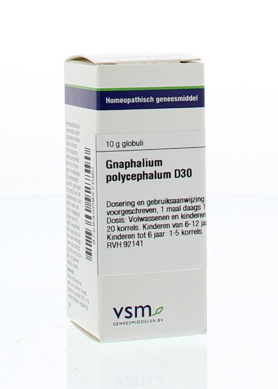 Gnaphalium polycephalum D30