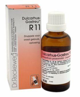 Dulcarhus gastreu R11