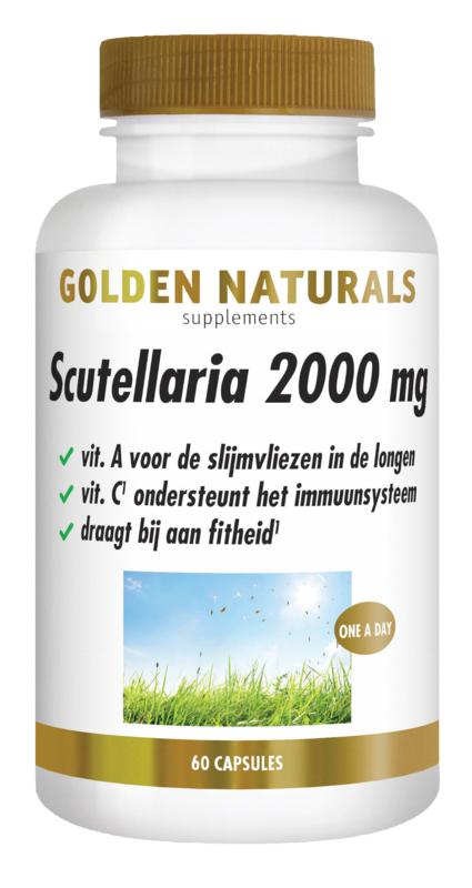 Pollen in de Lucht