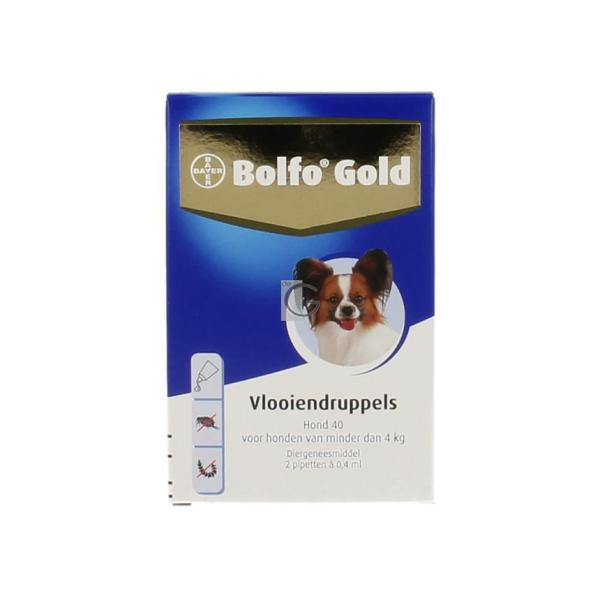 Dier h bolfo drupp gold 40