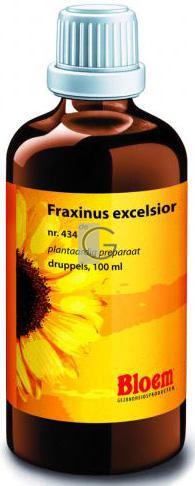 Bloem fraxinus excelsior  434*