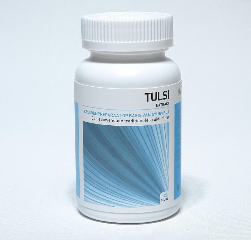 Tulsi ocimum sanctum