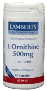 Vitamine & Supplementen
