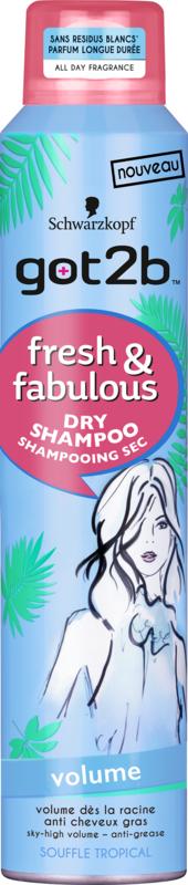 Droogshampoo fresh & fabulous volume