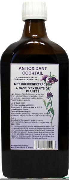 Antioxydant cocktail
