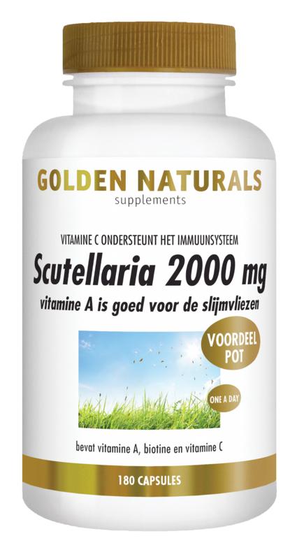 Pollen in de Lucht