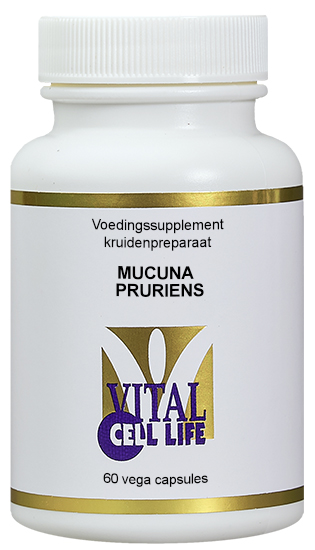 Mucuna pruriens
