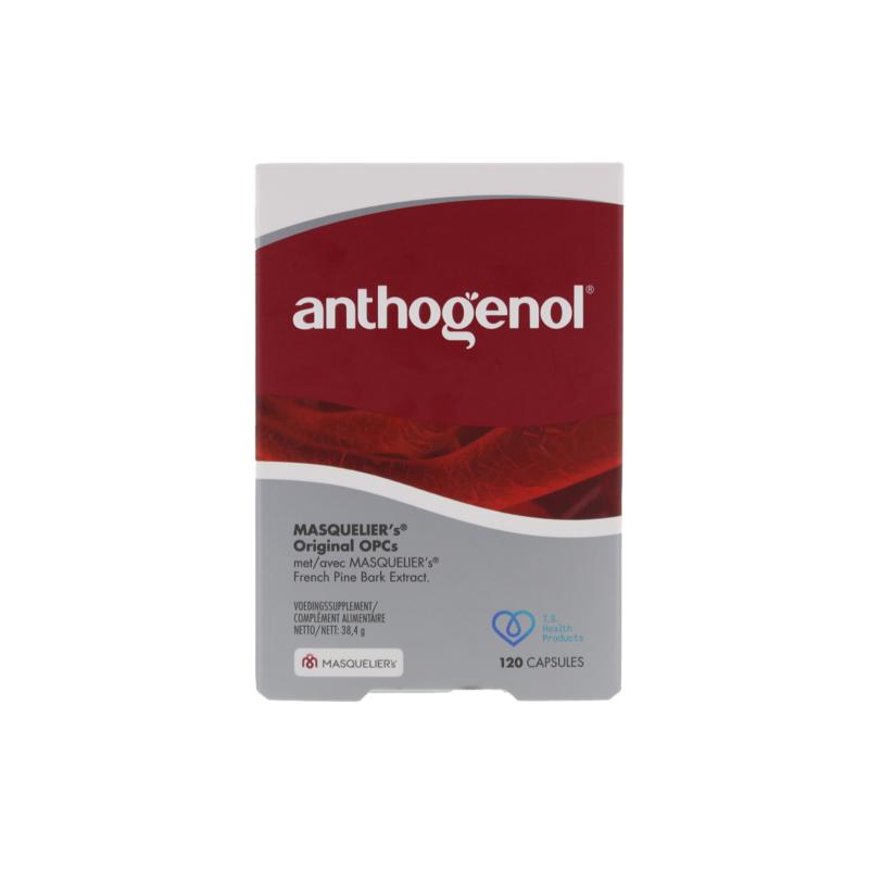 Masqueliers Anthogenol 120 cp