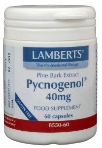 Pijnboombast extract (Pycnogenol 40 mg)
