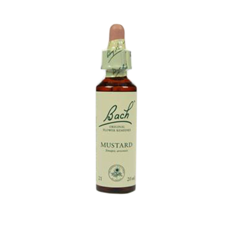 Bach Mustard / herik