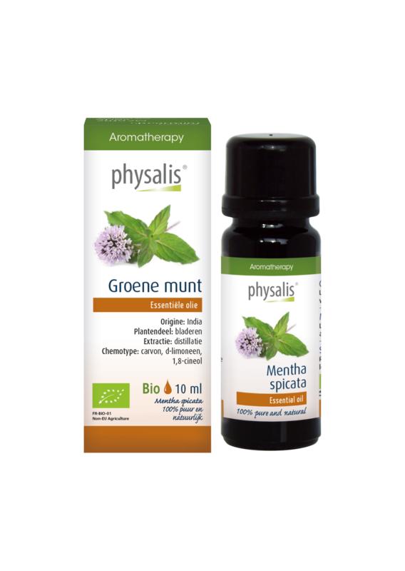 Physalis Groene munt