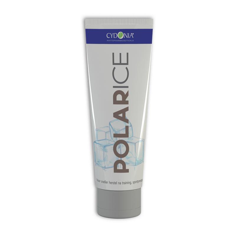 Cydonia Polar ice